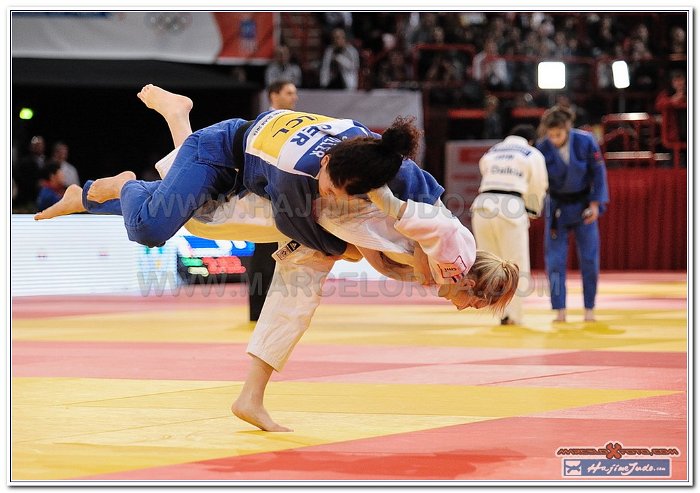 Grand Slam Paris 2013 Judo